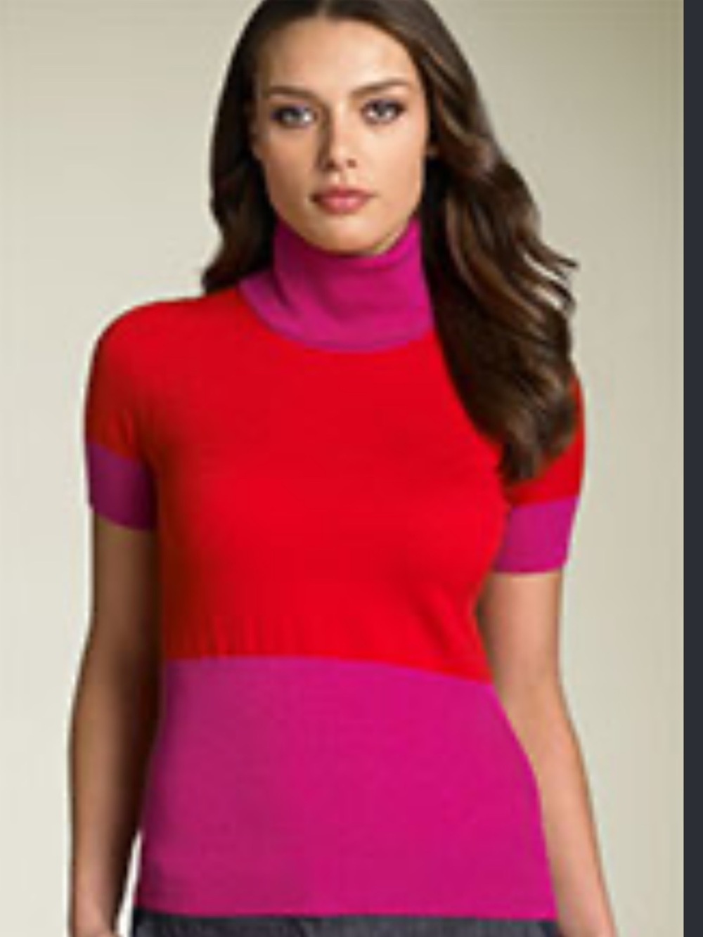 Theory Colorblock Turtleneck